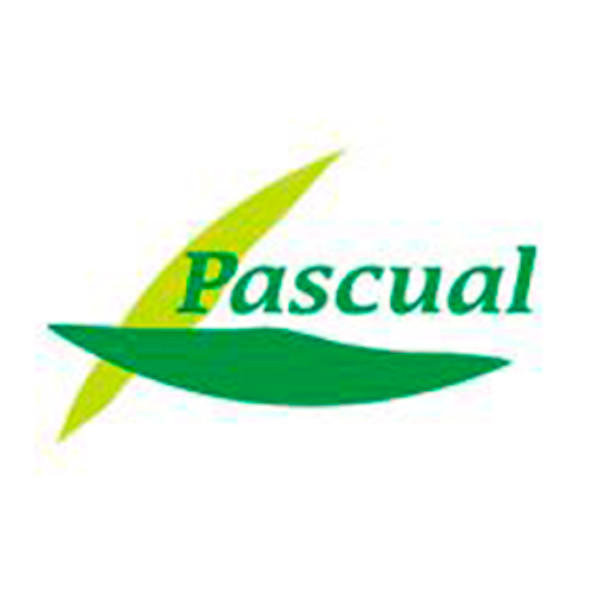 Pascual