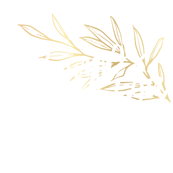 somos fashion